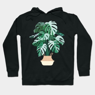 Monstera deliciosa variegata Hoodie